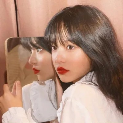 大象之梦